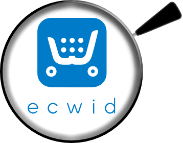 Idaho's local Ecwid online store setup and integration expert.