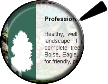 Blog & content marketing services that increase traffic to your website and generate leads.